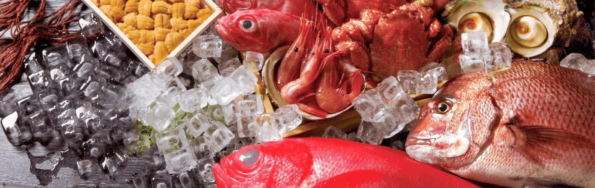 地元産の新鮮な食物を毎日厳選